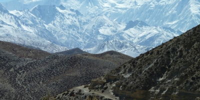 Mustang Treks