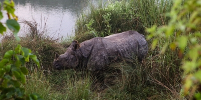 Chitwan National Park Tour